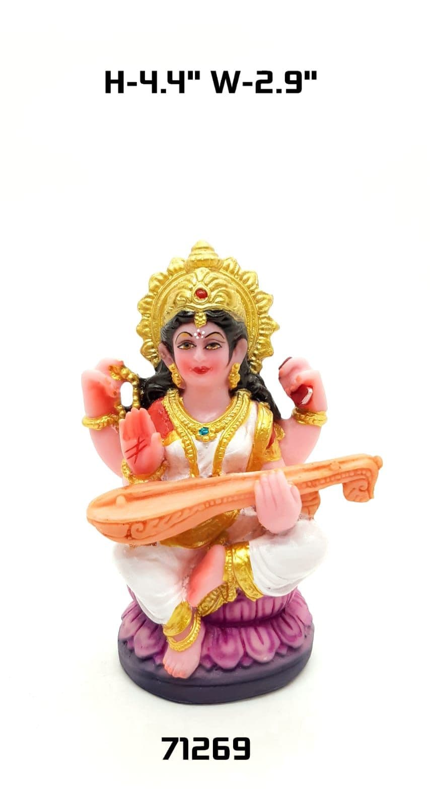 71269 Saraswati Ngr
