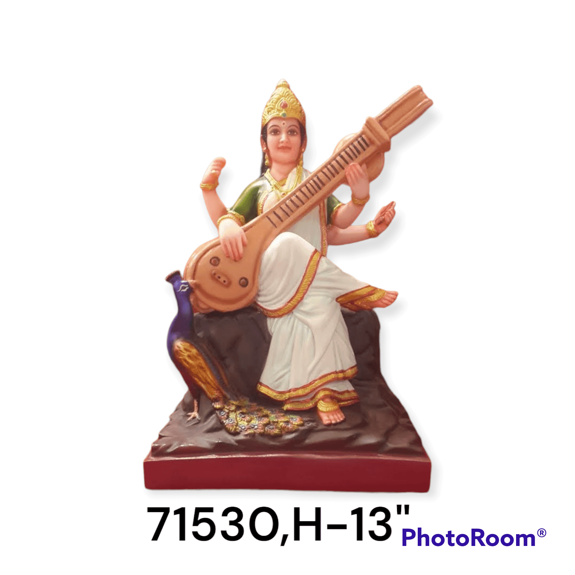 71530 Saraswati Ngr