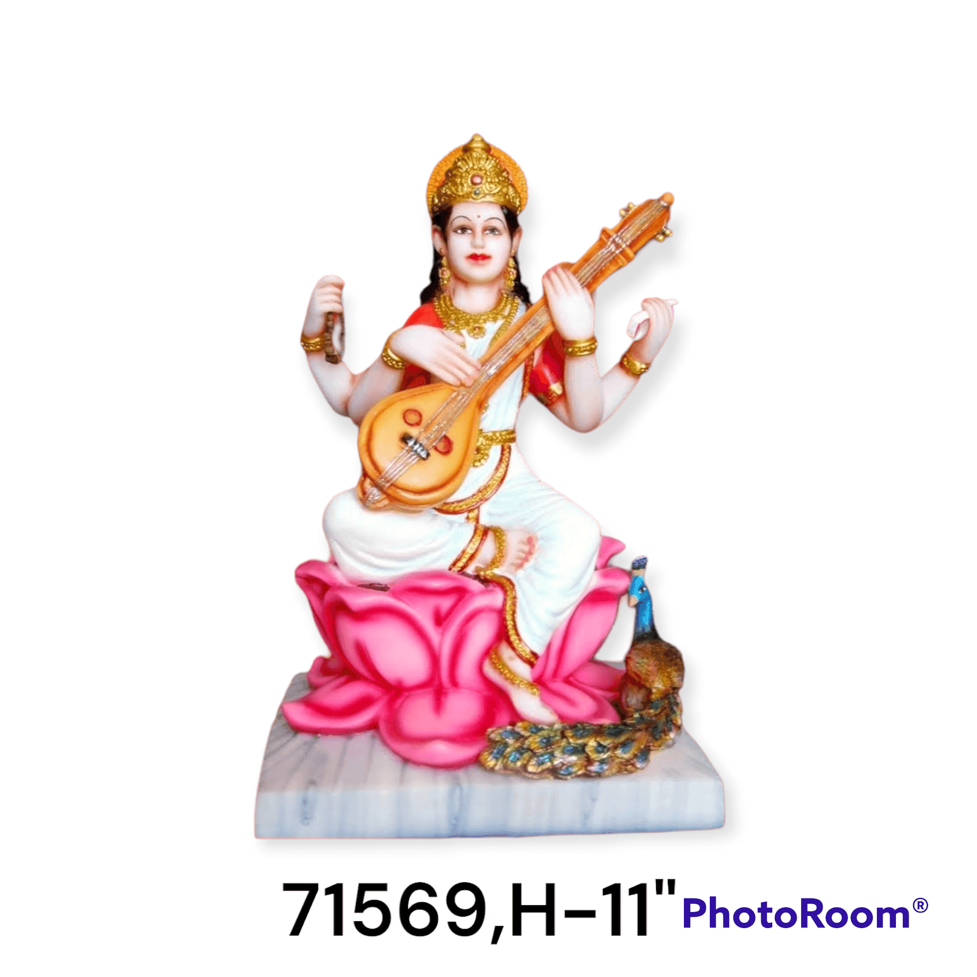 71569 Kam Saraswati Ngr
