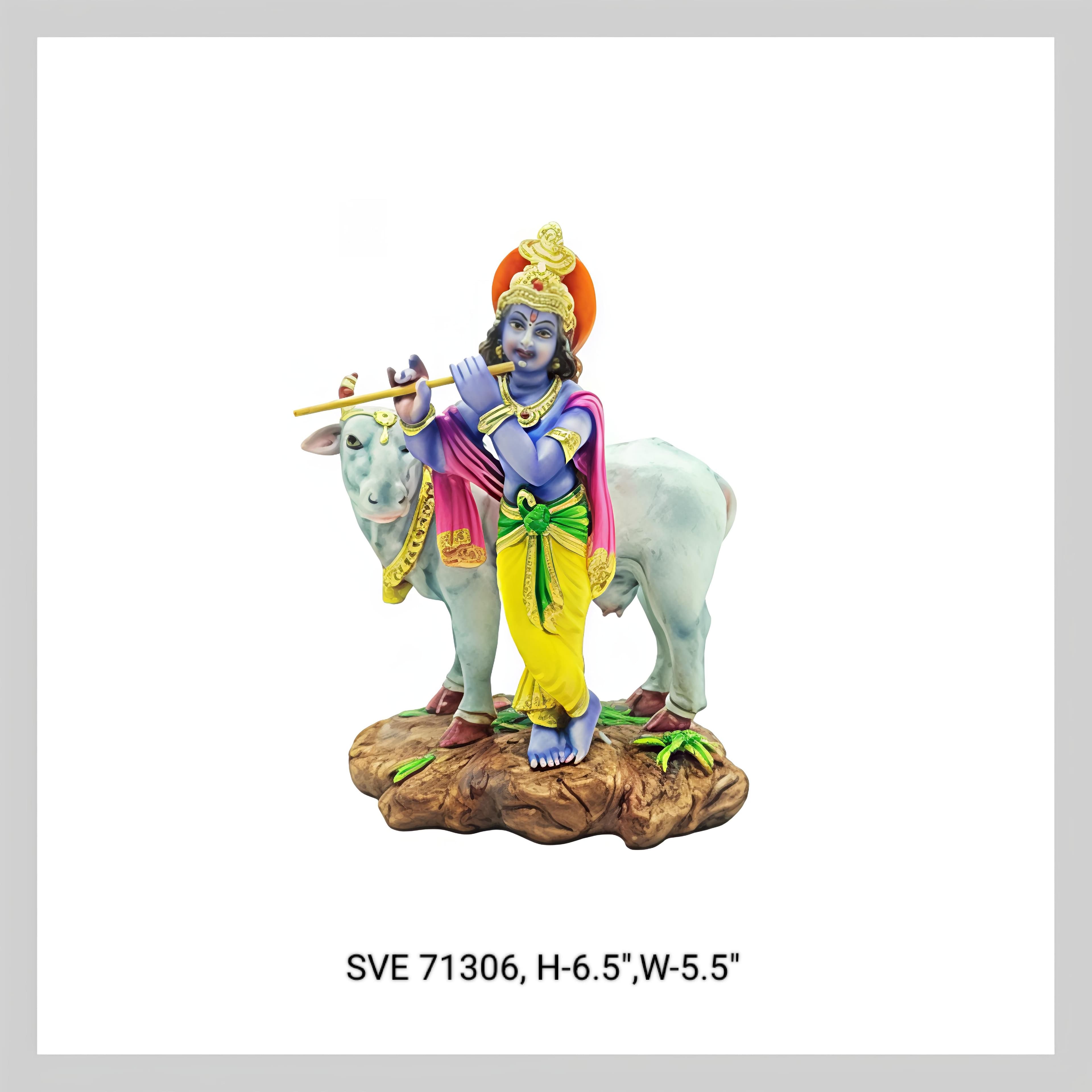 Krishna Ngr