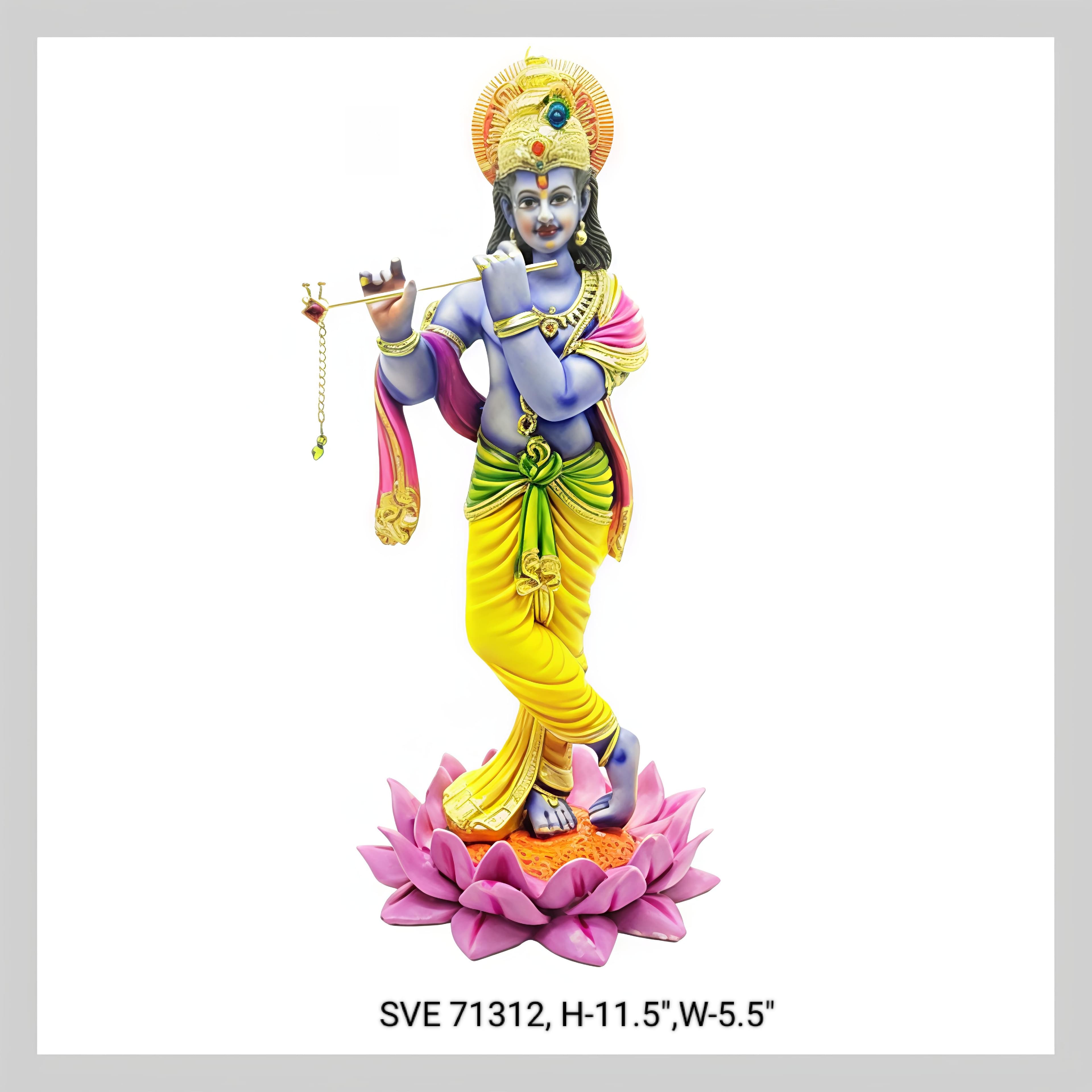 71312 Krishna Ngr