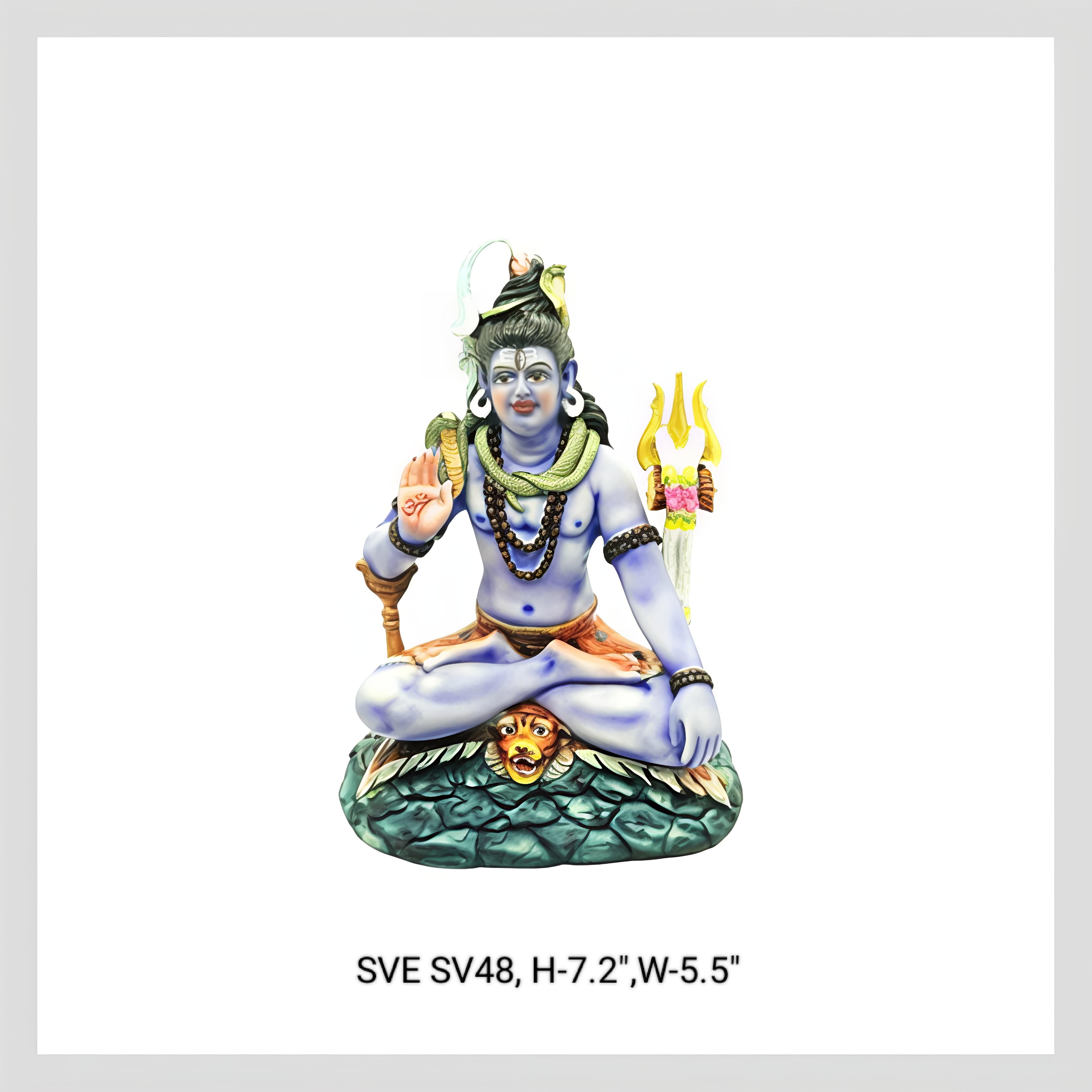 Sv48 Shankar Ngr