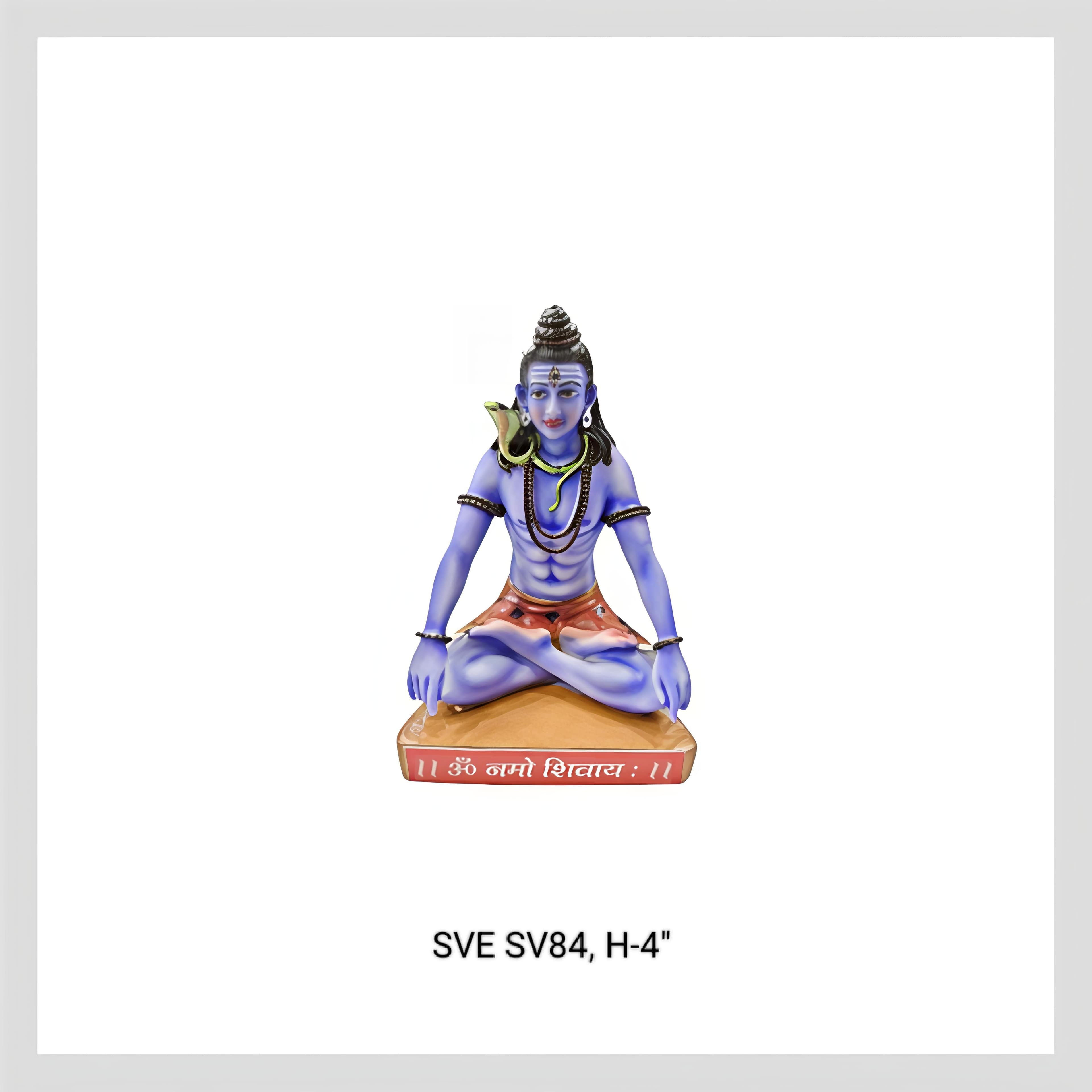 Sv84 Shankar Ngr
