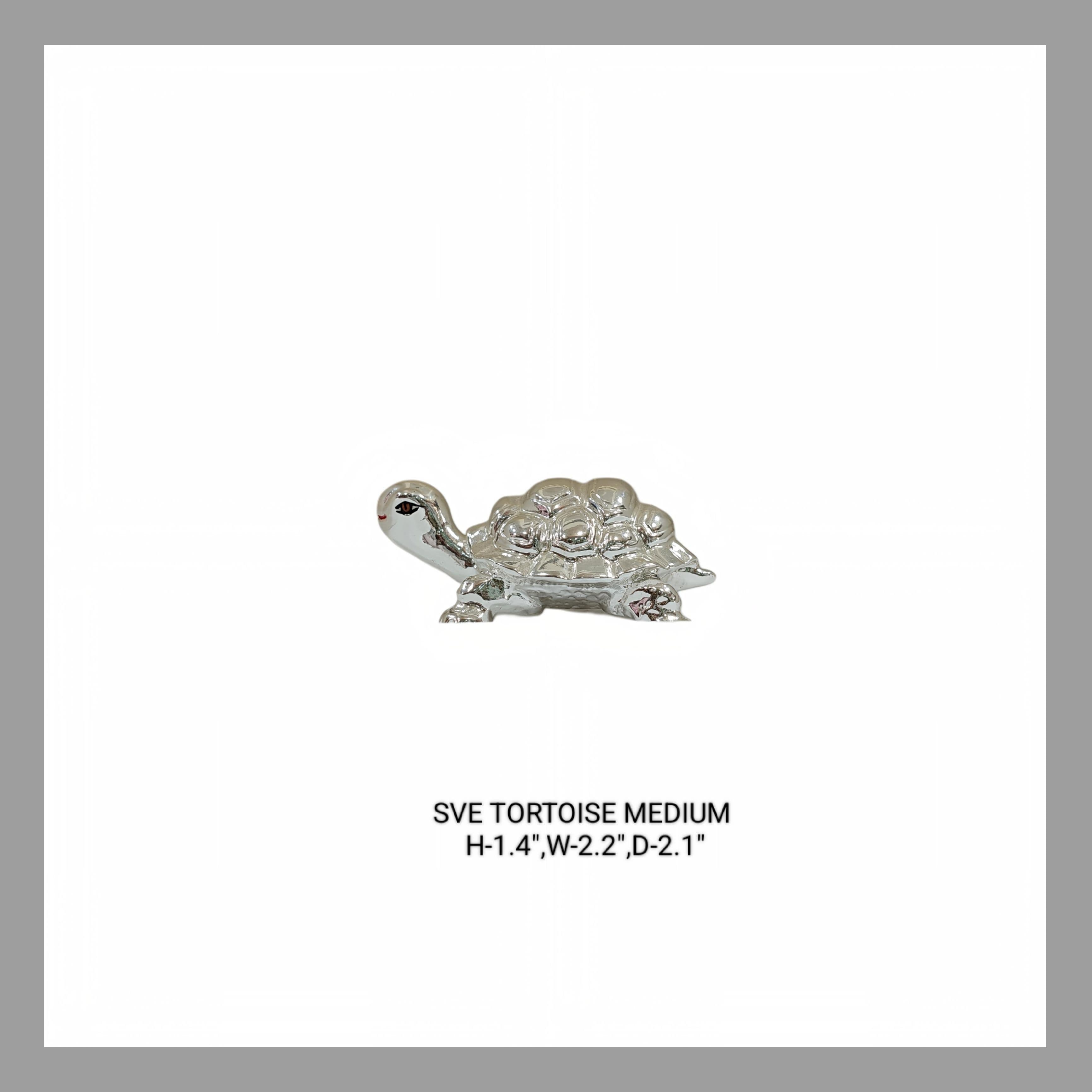 Tortoise  Silver Medium