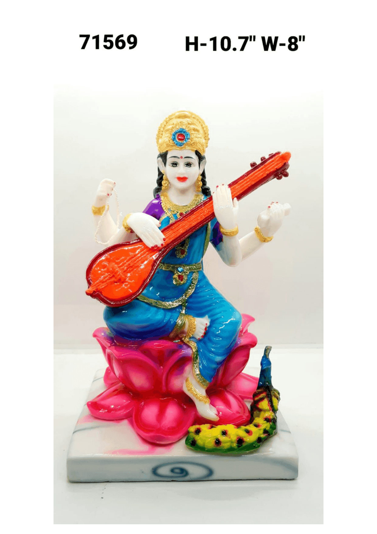 71569 Saraswati Mm